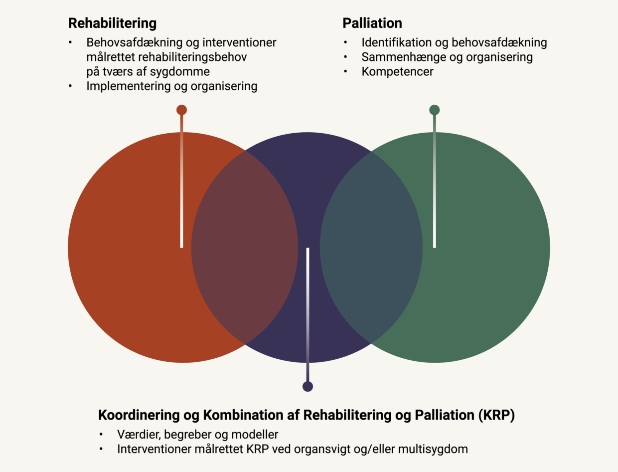 Illustration af de tre strategiske fokusområder i REHPA Forskning og Dokumentation