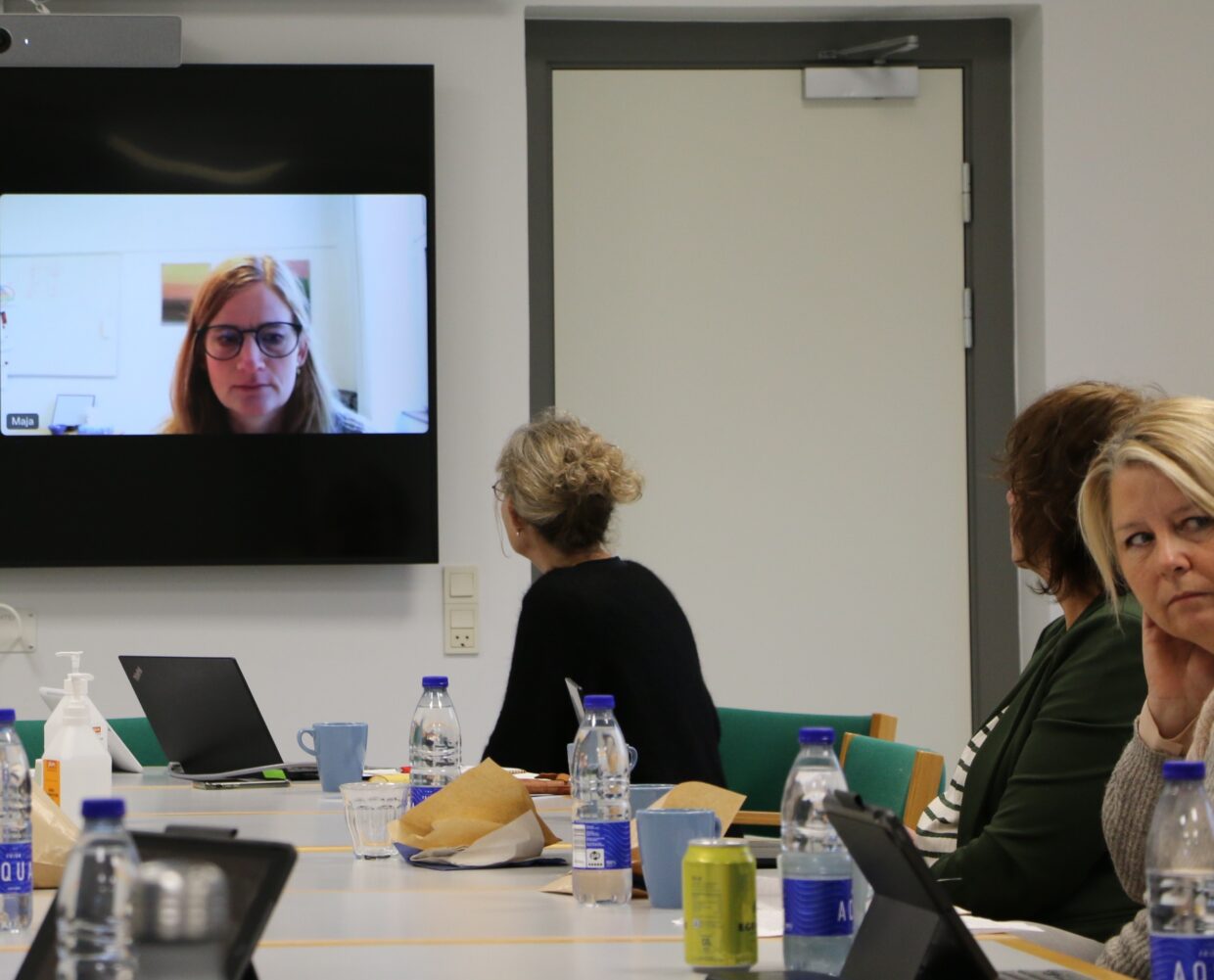 Maja O’Connor, Professor i klinisk psykologi ved Enhed for Sorgforskning, Psykologisk Institut, Aarhus Universitet og Det Nationale Sorgcenter (Kbh.) deltog på video til netværksmøde om palliation på det kommunale basisniveau 