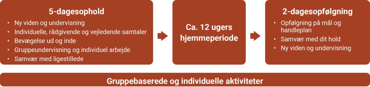 Model af et REHPA-forløb, der består af tre dele med både gruppebaserede og individuelle aktiviteter. Starter med et 5-dagesophold efterfulgt af en periode hjemme og afsluttes med en opfølgning på to dage