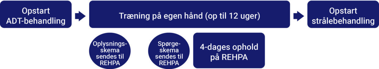 Modellen viser forløbet fra opstart på ADT-behandling over træning i kommunen i op til 12 uger, hvor der sideløbende er forskellige skemaer, der skal sendes til REHPA og et 4-dages ophold på REHPA forud for opstart af strålebehandling