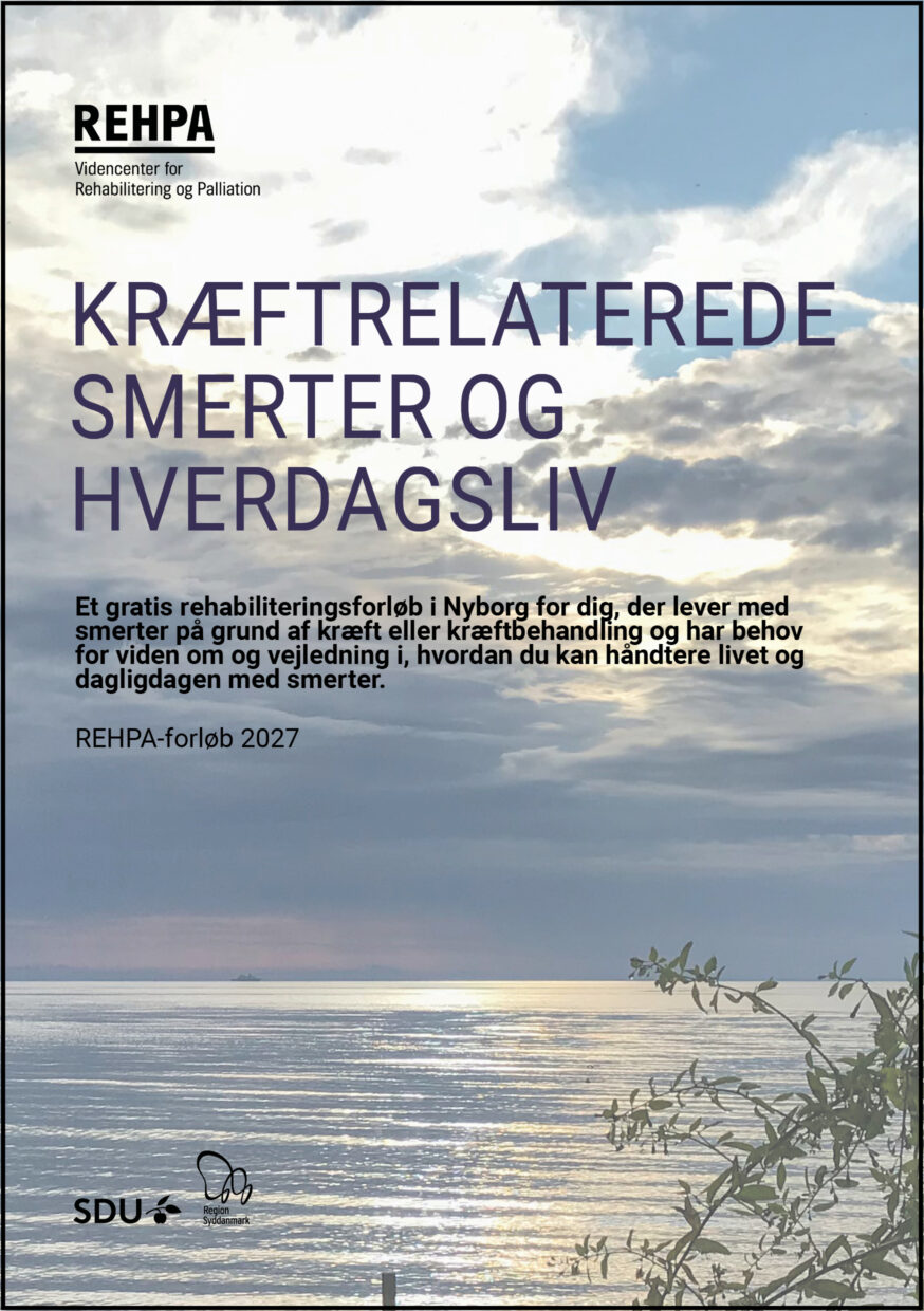 Forside af pjecen Kræftrelaterede smerter og hverdagsliv 2027